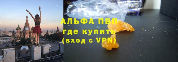 экстази Бородино