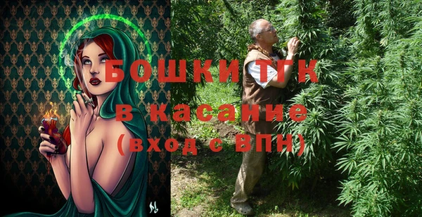 дживик Бронницы