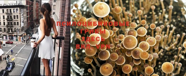 экстази Бородино