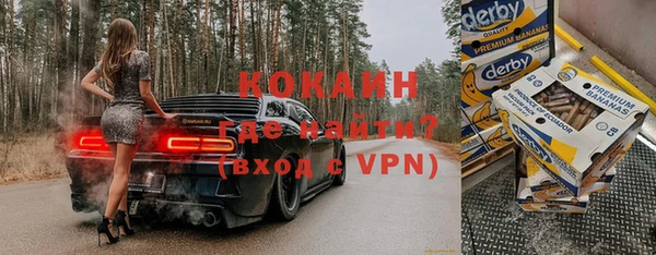 дживик Бронницы