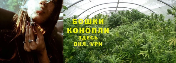 дживик Бронницы