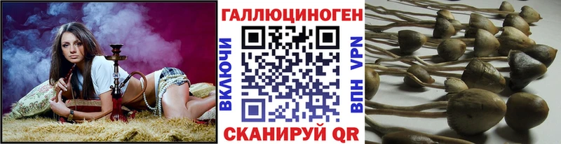 Галлюциногенные грибы GOLDEN TEACHER Оханск